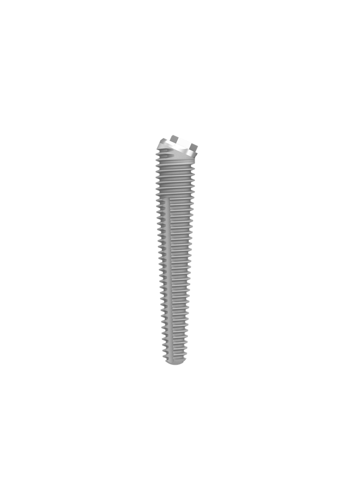 Image for ⌀4 x 22mm 24° External Hex Implant (pos 2)
