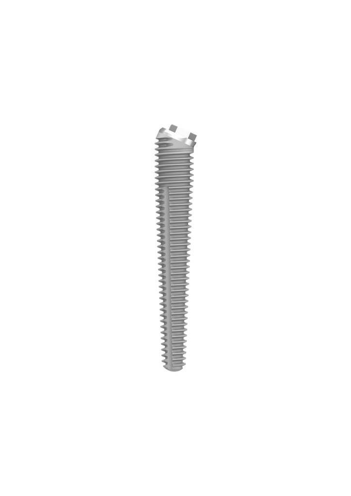 Image for ⌀4 x 24mm 24° External Hex Implant (pos 2)