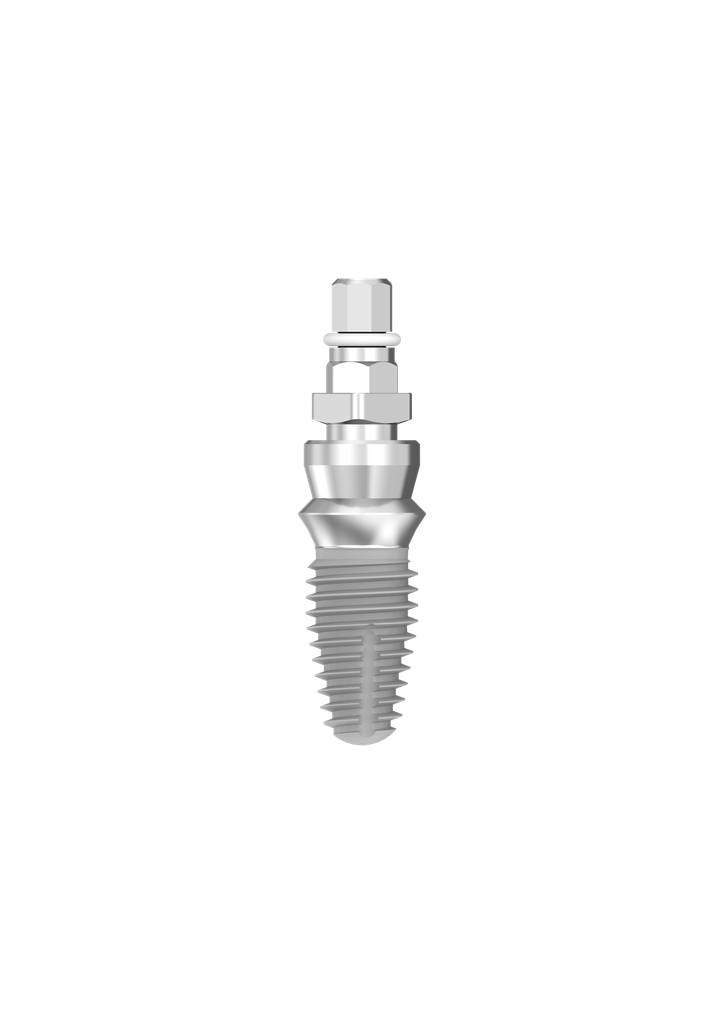 Image for ⌀6 x 10mm IT Implant (pos 2)