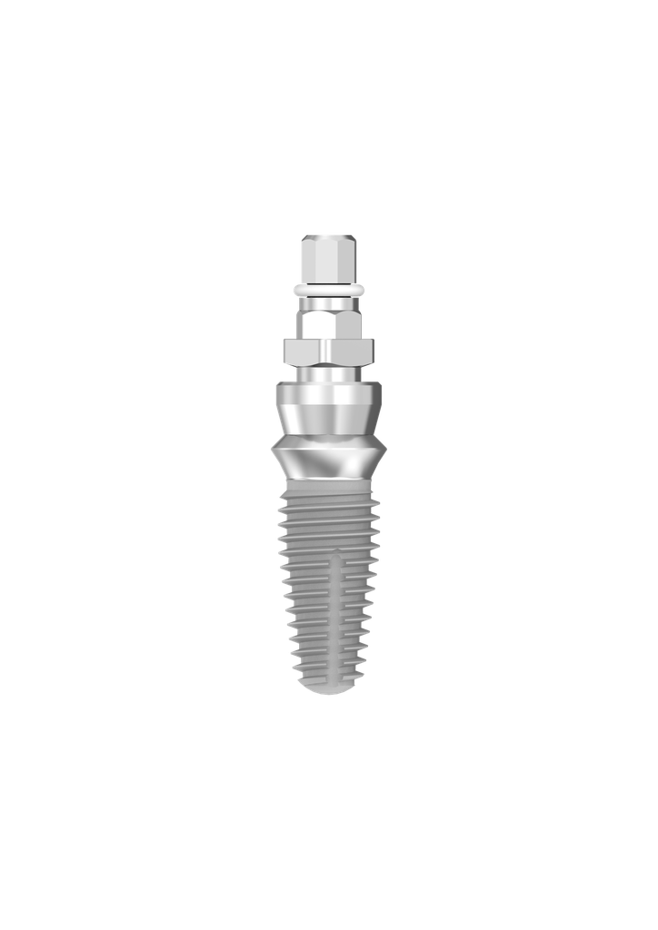 Image for ⌀6 x 12mm IT Implant (pos 2)