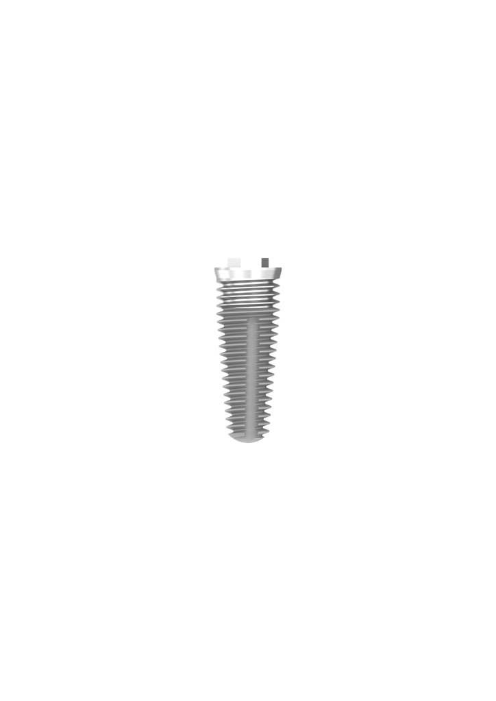 Image for ⌀5 x 13mm MSC External Hex Implant (pos 2)