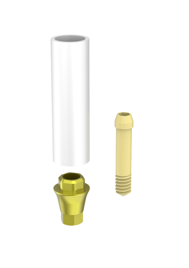 Image for Abutment Passive Eng DC ø3.0 (pos 2)