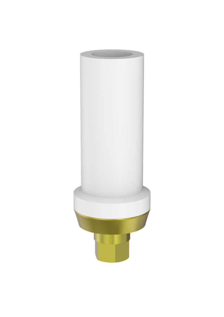 Image for Abutment Passive Eng DCR5 (pos 2)