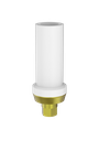 Image for Abutment Passive Eng DCR5 (pos 2)