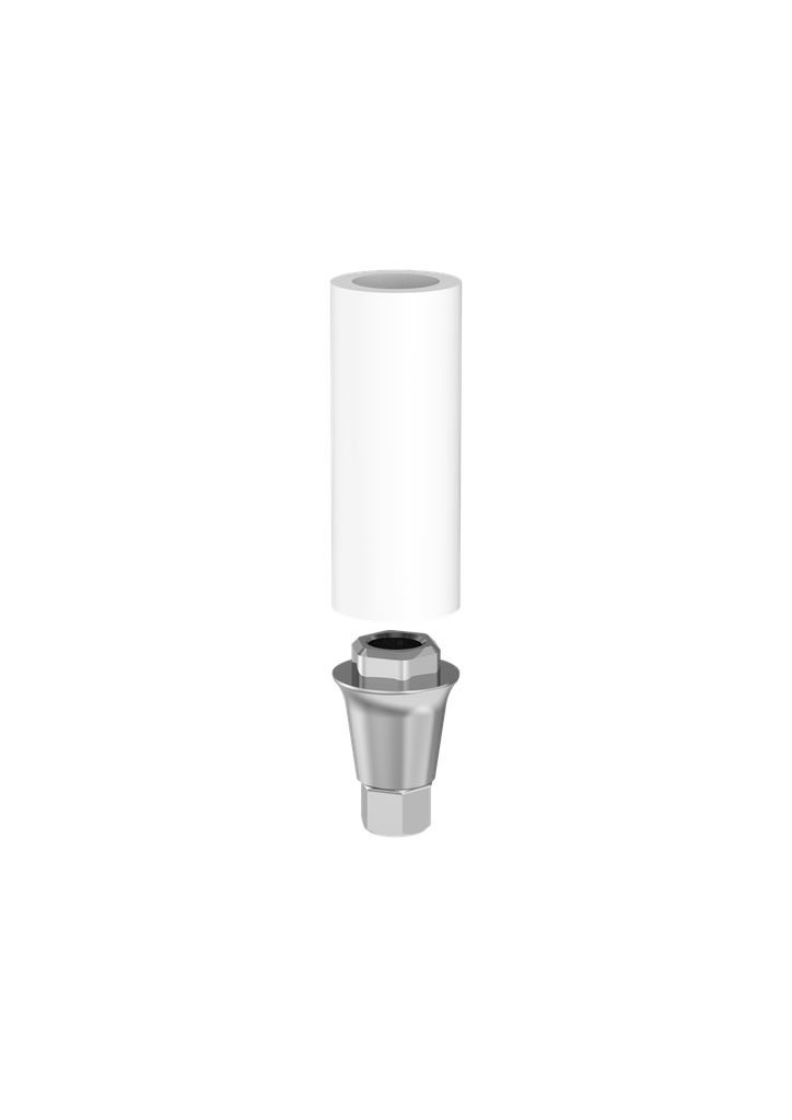 Image for Abutment Passive Engaging SP1 (pos 2)