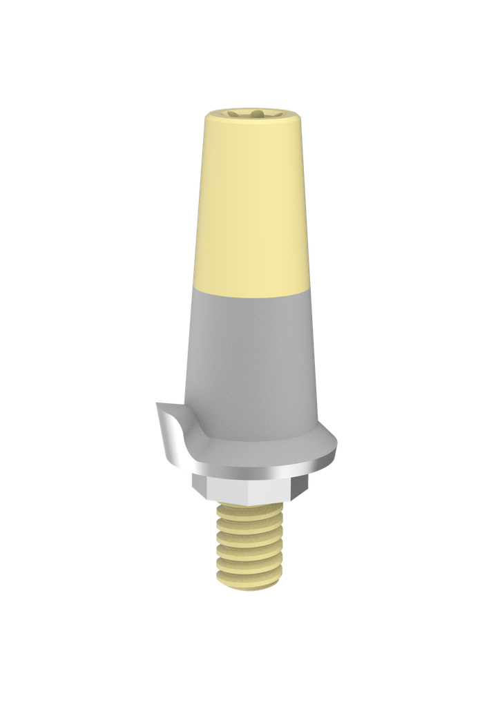 Image for Abutment scanning IT (pos 2)