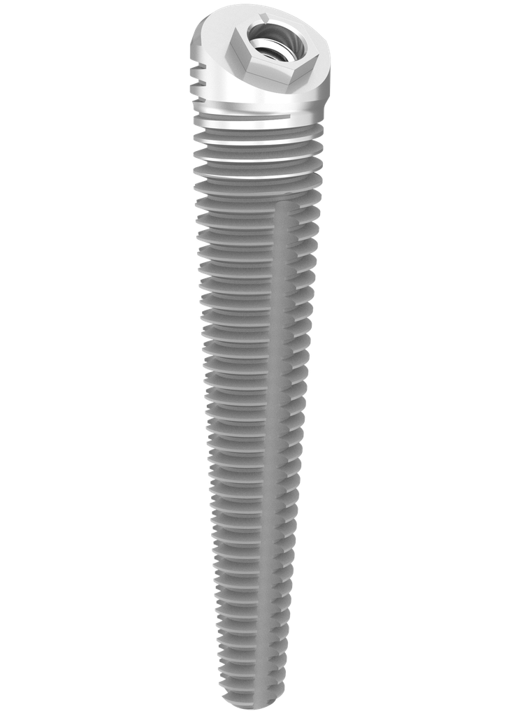 ⌀5 x 24mm 36° MSC External Hex Pterygoid Implant