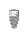 ⌀6 x 11mm MSC SP1 Implant