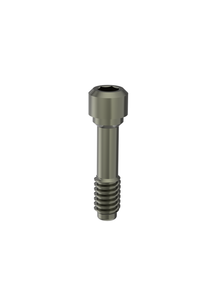Internal Hex / PROVATA (M, M-P45) (Lab Screw) Retaining Screw
