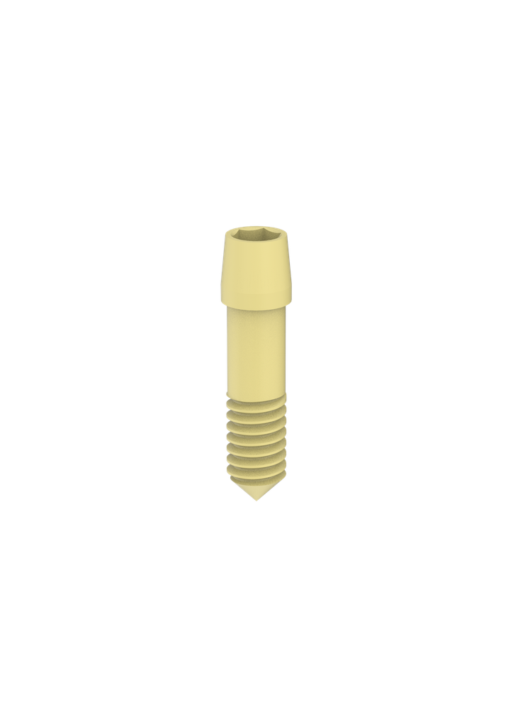 Internal Hex / PROVATA (M, M-P45) (Luting screw) Retaining Screw