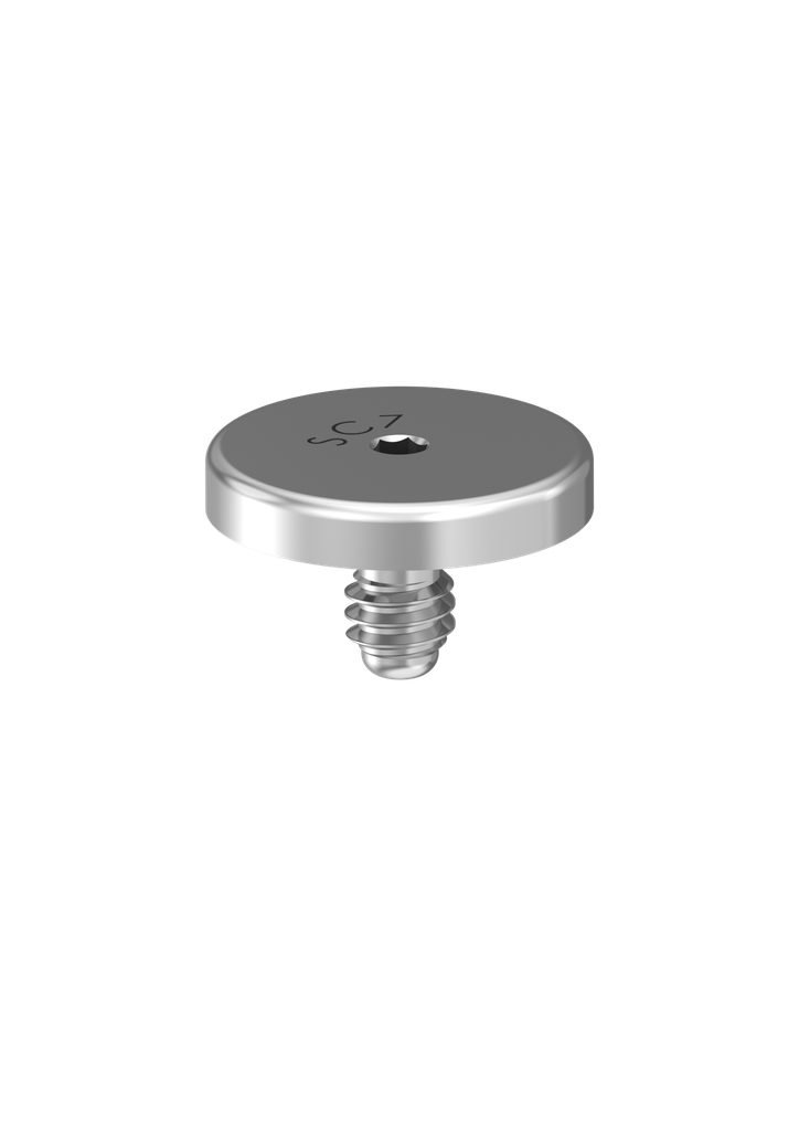 External Hex (EX-70) Cover Screw
