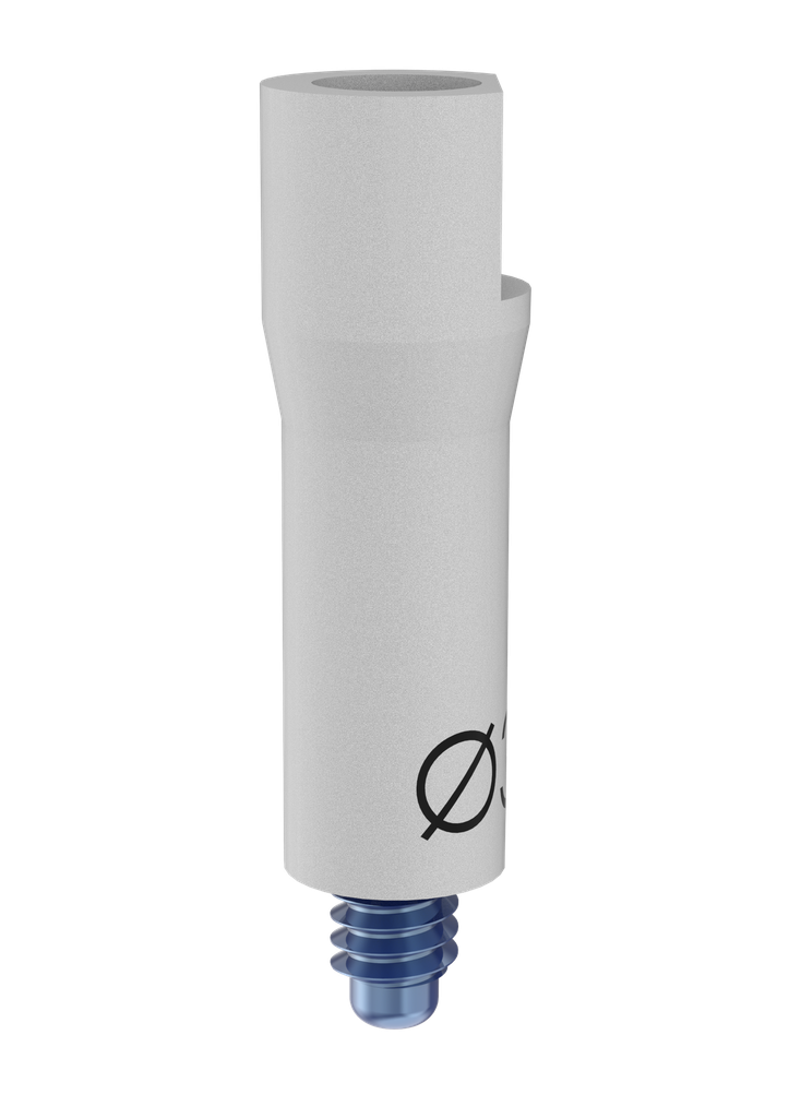 External Hex (EX-34) Scan Flag