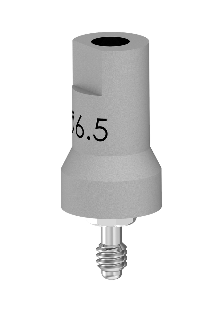 IT (Internal Octagon) (IT6) Scan Flag