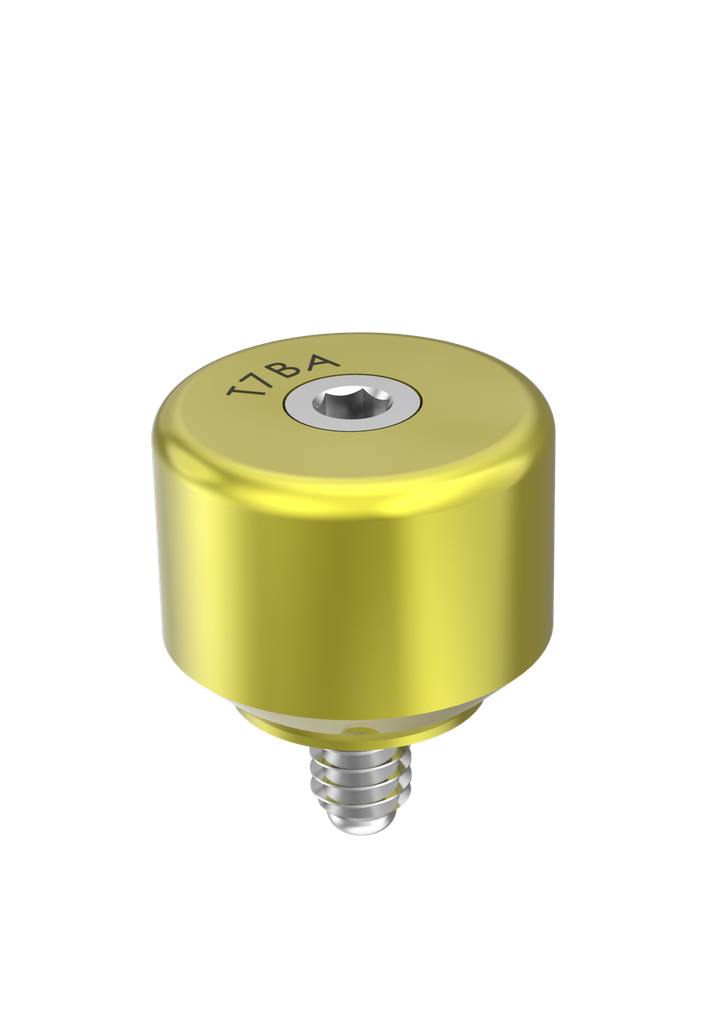 External Hex (EX-50) 6mm Healing Abutment 2 Part