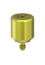External Hex (EX-50) 8mm Healing Abutment
