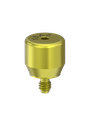 External Hex (EX-50) 6mm Healing Abutment