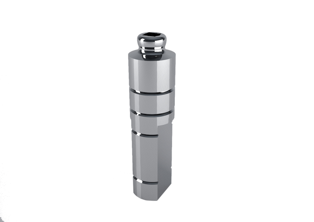 Overdenture (Equator) Lab Analogue