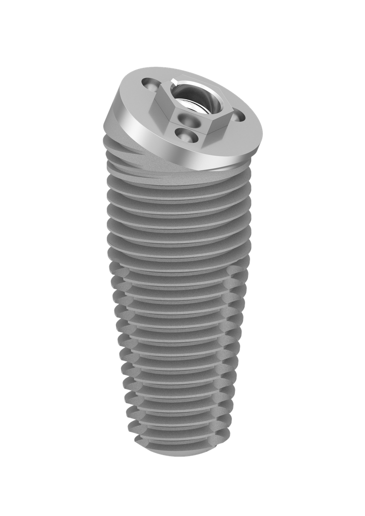 ⌀6 x 13mm 24° External Hex Implant