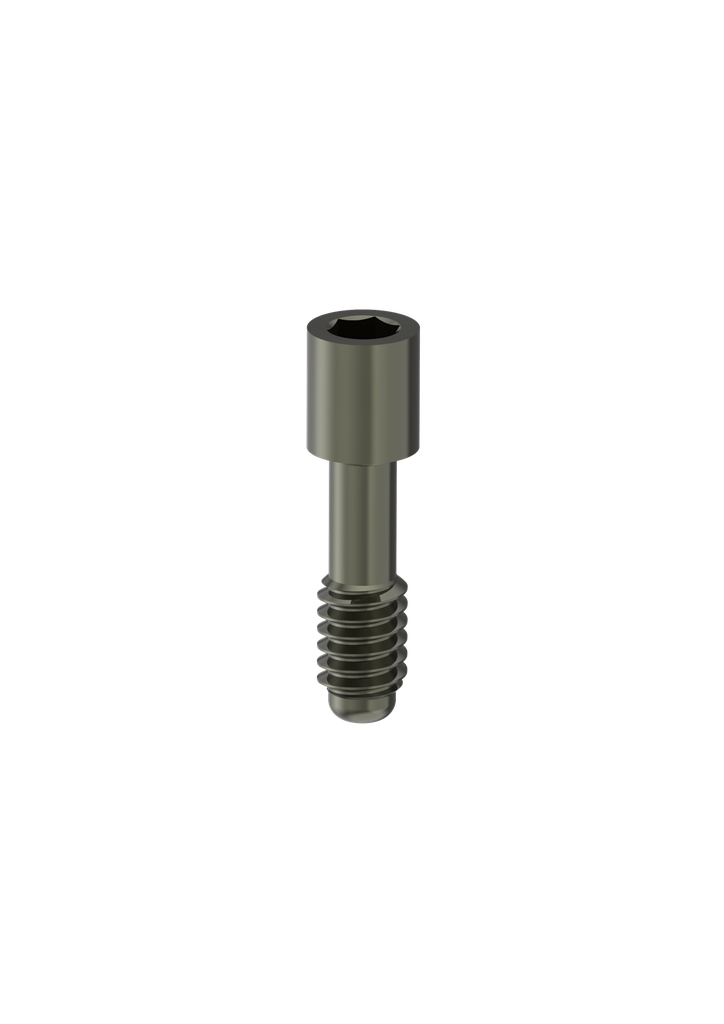 Internal Hex / PROVATA (M) (Lab Screw) Retaining Screw