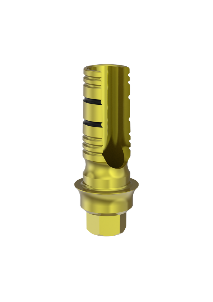 Abut Ti ASC Int Hex Eng