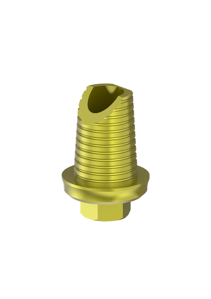 Abutment Cust Base Ti Int Hex