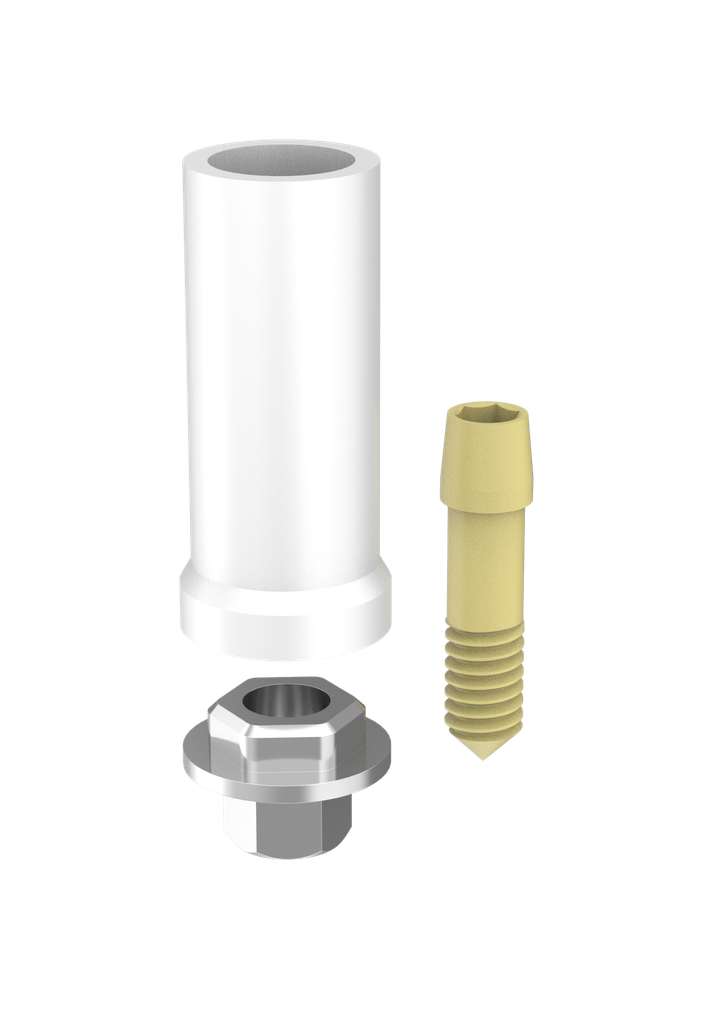 Abutment Passive Int Hex ø4.5 Eng