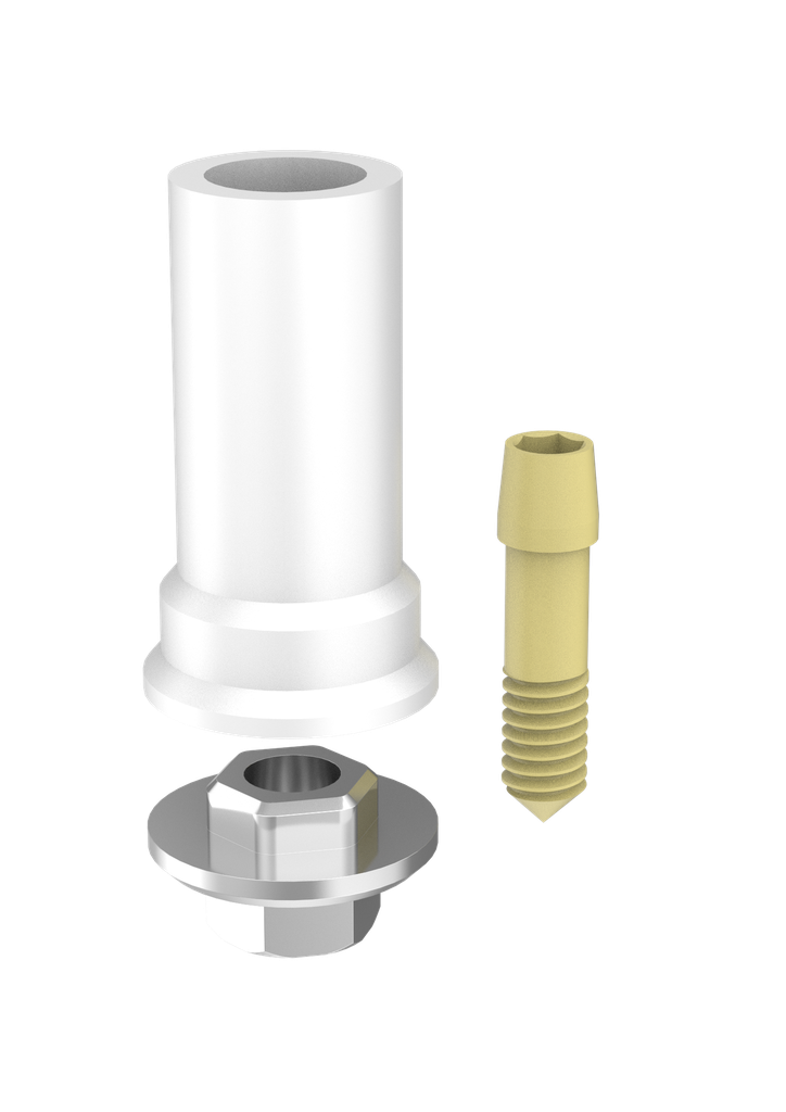 Abutment Passive Int Hex Eng