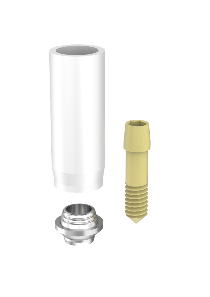 Abutment Passive Non-Eng M