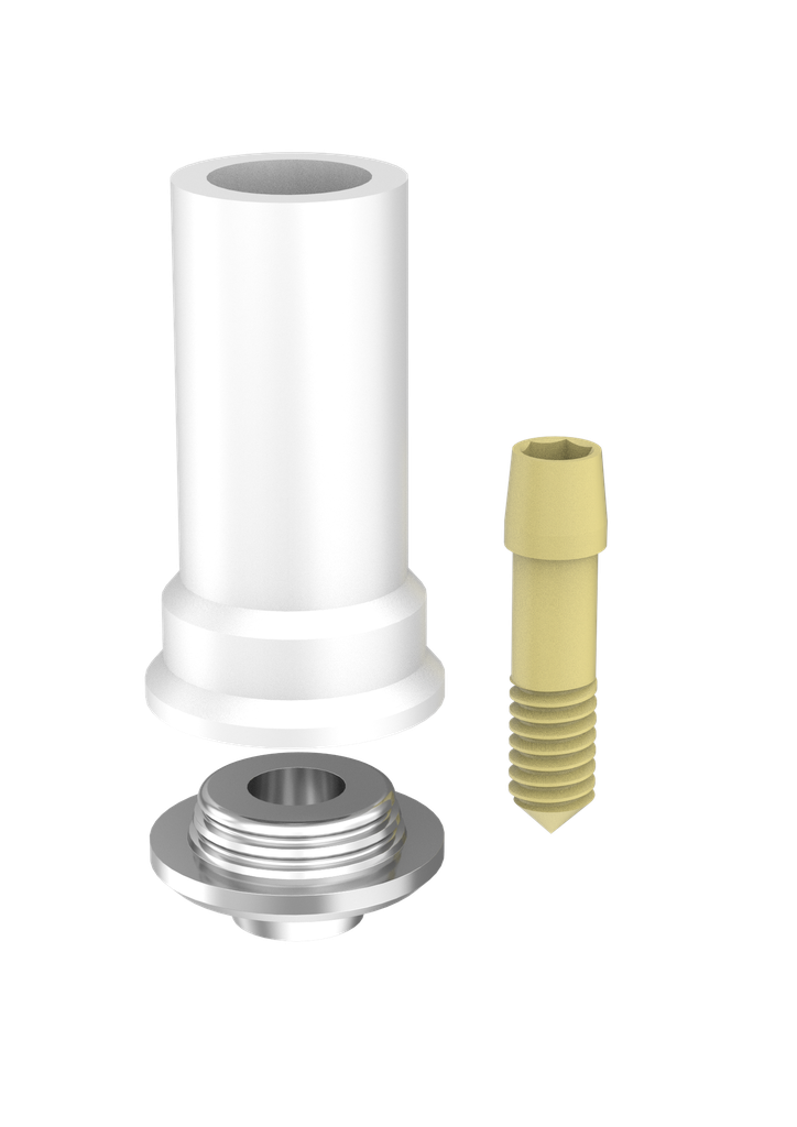 Abutment Passive Int Hex N-Eng