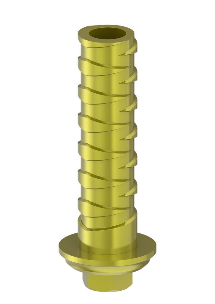 Abut Ti Int Hex 1mm Eng