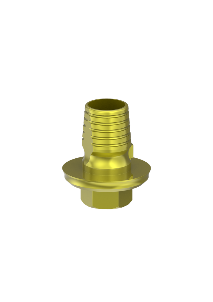 Abutment Base Ti Int Hex
