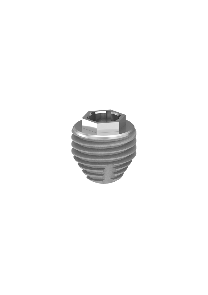 ⌀4 x 4mm External Hex Extra-Oral Implant