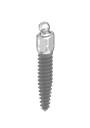 ⌀2.4 x 10mm 12° ILZ Implant