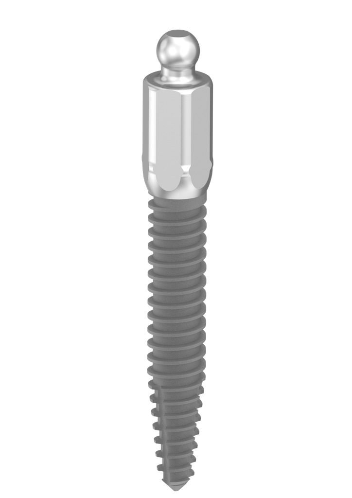 ⌀2.4 x 13mm ILZ Implant