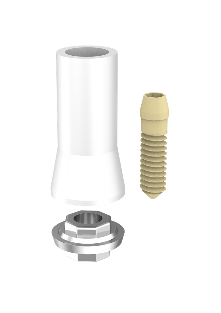 Abutment Passive Eng IT