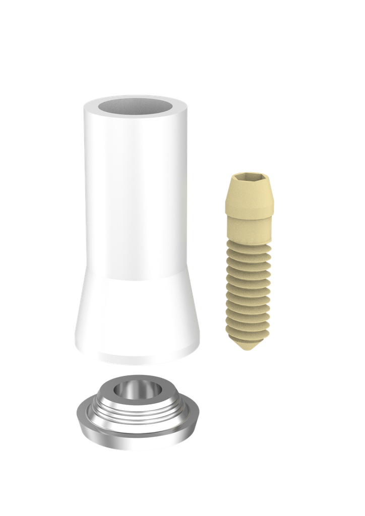 Abutment Passive N/Eng IT