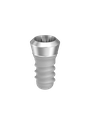 ⌀3 x 6mm IT Implant