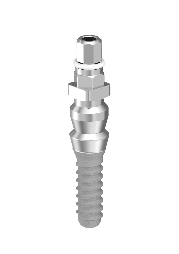 ⌀3 x 10mm IT Implant