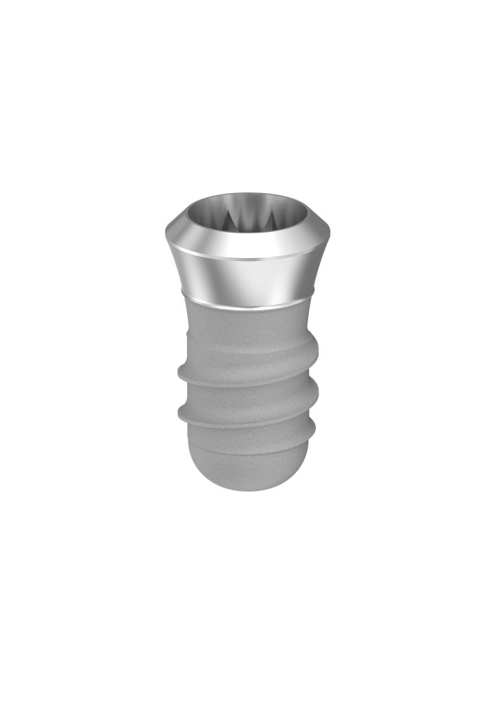 ⌀4 x 6mm IT Implant