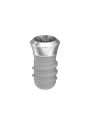 ⌀4 x 6mm IT Implant