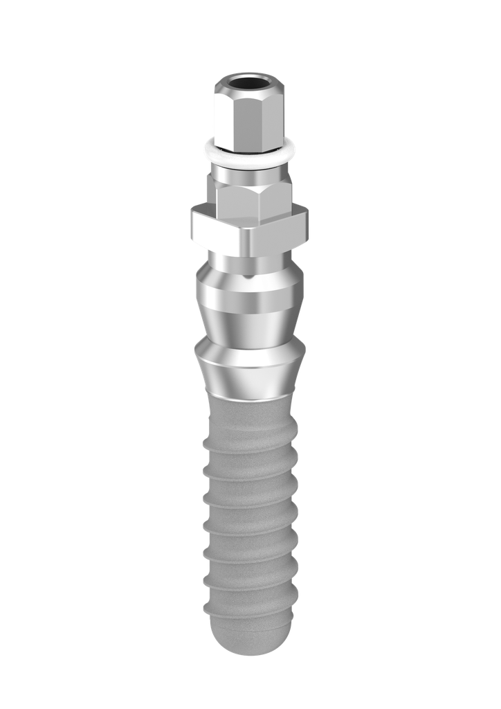 ⌀4 x 12mm IT Implant