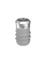 ⌀5 x 6mm IT Implant