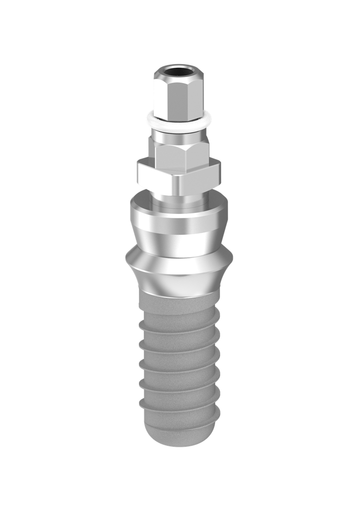 ⌀4.9 x 10mm IT Implant