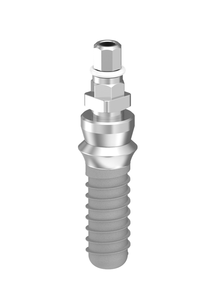 ⌀4.9 x 12mm IT Implant