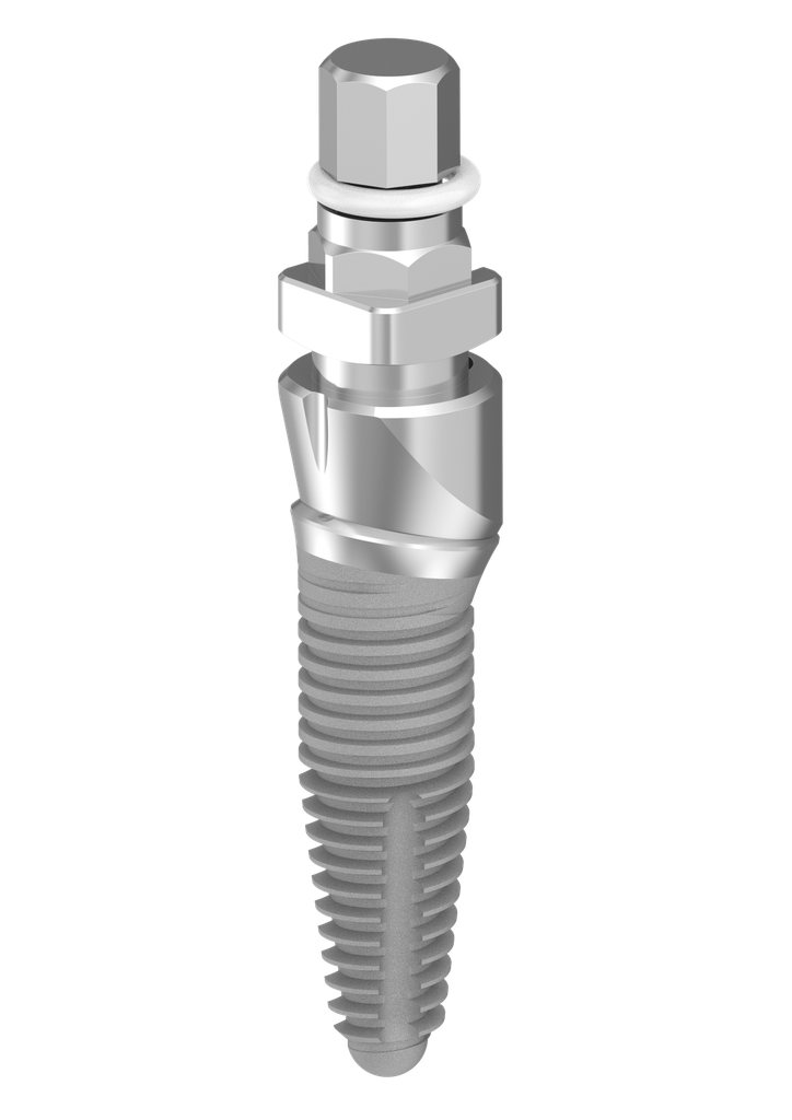 ⌀4 x 12mm 12° IT Implant