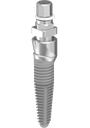 ⌀4 x 14mm 12° IT Implant