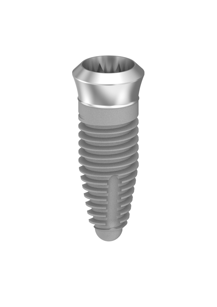 ⌀4 x 10mm IT Implant