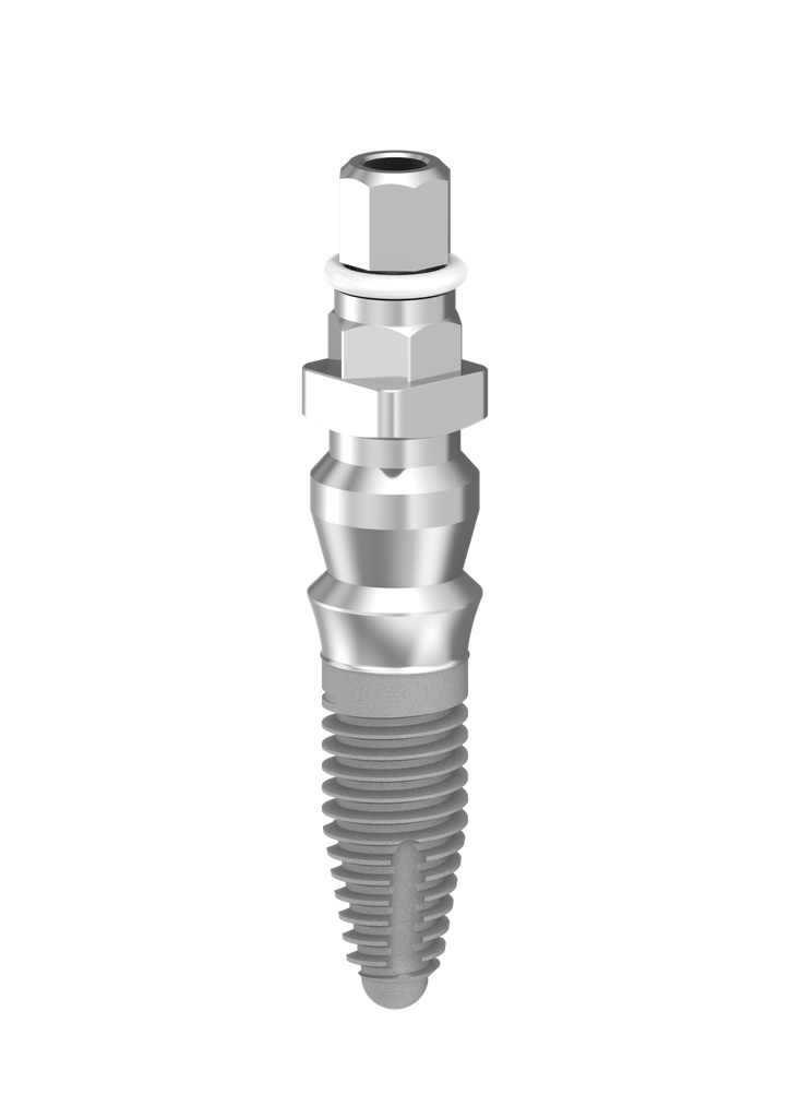 ⌀4 x 10mm IT Implant