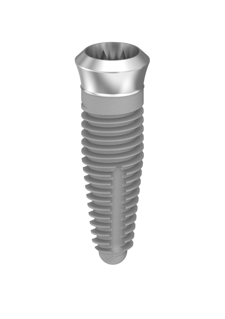 ⌀4 x 12mm IT Implant