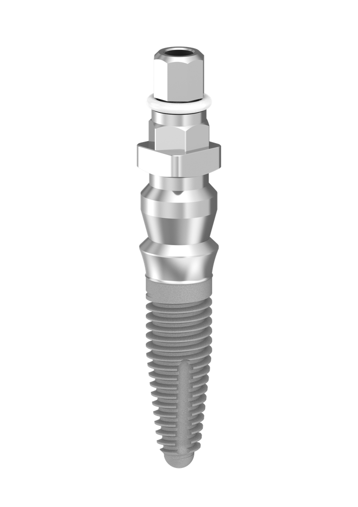 ⌀4 x 12mm IT Implant